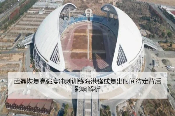 武磊恢复高强度冲刺训练海港锋线复出时间待定背后影响解析