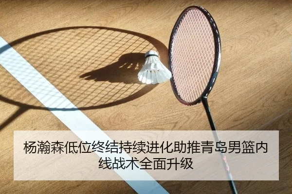 杨瀚森低位终结持续进化助推青岛男篮内线战术全面升级